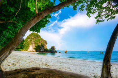 KRABI, THAILAND Phi Phi Ley Adası 'ndaki Maya Körfezi Plajı Temiz beyaz kumsal ve zümrüt yeşili deniz.