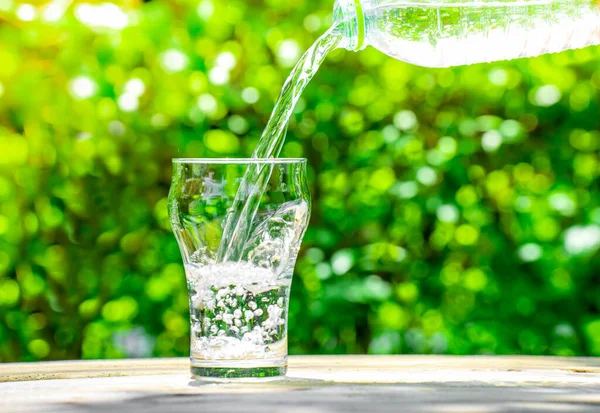 Wlać Wodę Plastikowej Butelki Szklanki Tło Roślin Ogrodzie Miękkie Skupienie — Zdjęcie stockowe
