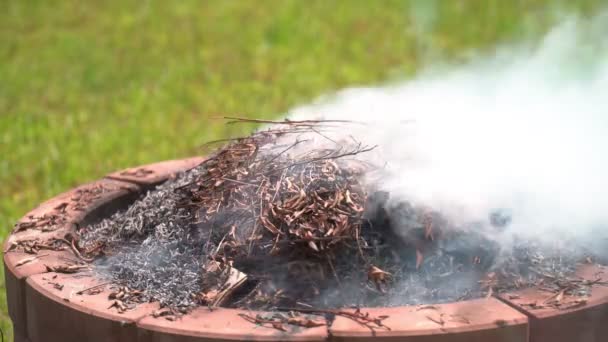 Bruciando Foglie Secche Fiamma Fumo Bruciando Foglie Ustioni Delle Foglie — Video Stock