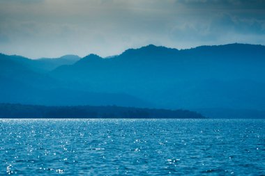 plastic flower In a rope basket, on a desk, in the house