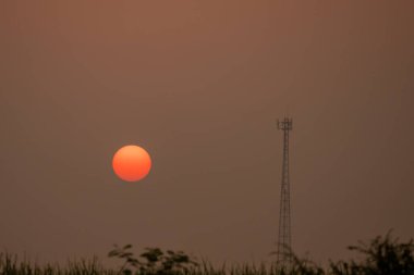 plastic flower In a rope basket, on a desk, in the house