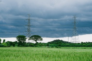 Yağmurdan önce siyah bulutlar ve pirinç tarlalarının yakınında yüksek voltaj direkleri.