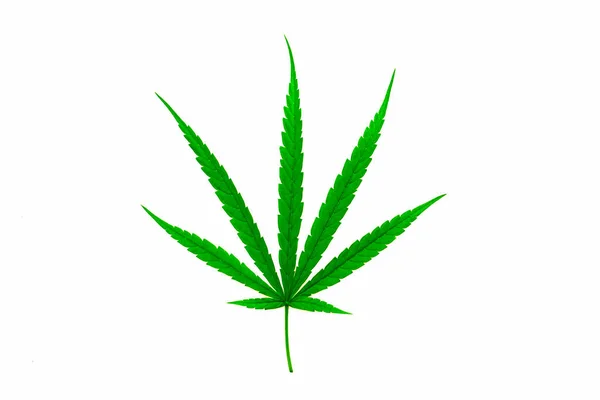Cannabisblatt Kräuterheilpflanze Auf Weißem Hintergrund Soft Focus Flacher Fokus Effekt — Stockfoto