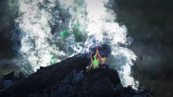 火のたき火 スローモーションで燃える炎のクローズアップショット ソフトフォーカス — ストック動画