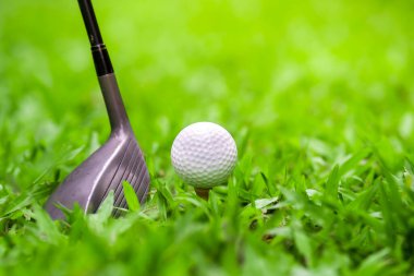 Golf sopası yeşil çimlerde golf topuna vuruyor