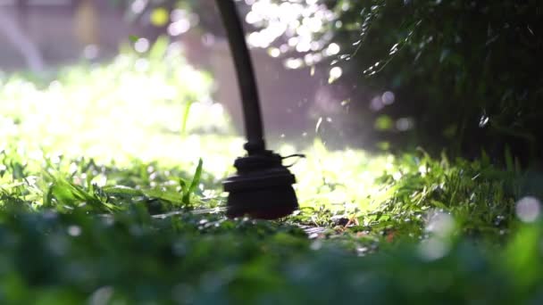 Spinning Nylon String Parallel Grass Level Slow Motion Clip Trimming — Stockvideo