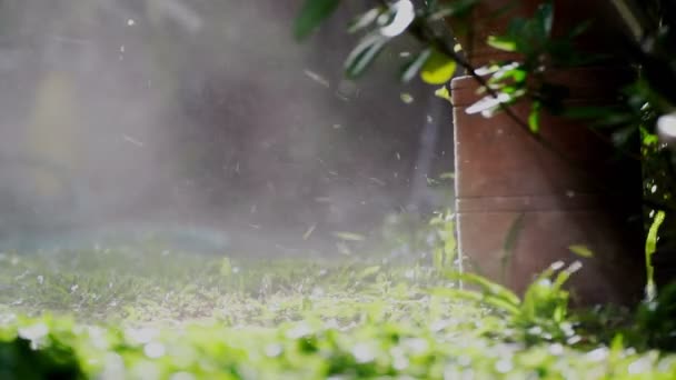 Spinning Nylon String Parallel Grass Level Slow Motion Clip Trimming — Video Stock