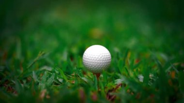 golf club hitting a golf ball on green grass