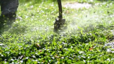 spinning nylon string parallel to the grass-level slow-motion clip, Trimming the excess grass with a brushcutter