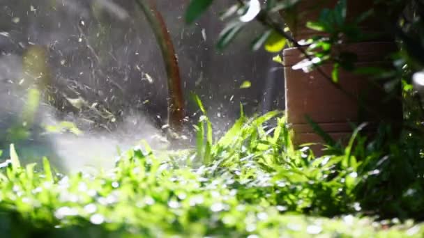 Spinning Nylon String Parallel Grass Level Slow Motion Clip Trimming — Video Stock