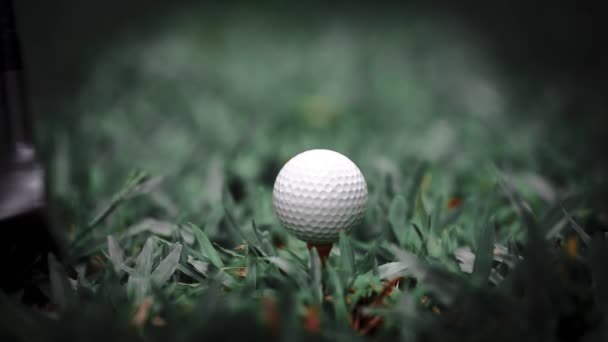 Golf Club Hitting Golf Ball Green Grass — Stockvideo