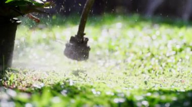 spinning nylon string parallel to the grass-level slow-motion clip, Trimming the excess grass with a brushcutter