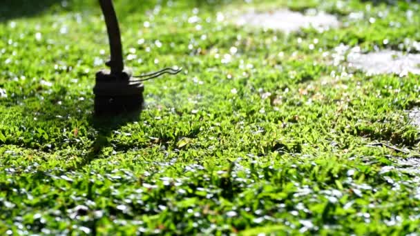 Spinning Nylon String Parallel Grass Level Slow Motion Clip Trimming — Vídeos de Stock