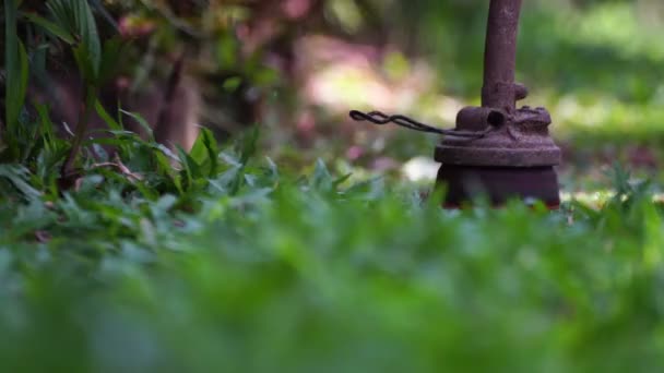 Spinning Nylon String Parallel Grass Level Slow Motion Clip Trimming — Stock video