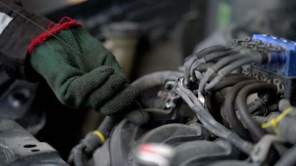 Inspección Del Motor Comprobación Del Nivel Aceite Del Motor Coche — Vídeo de stock