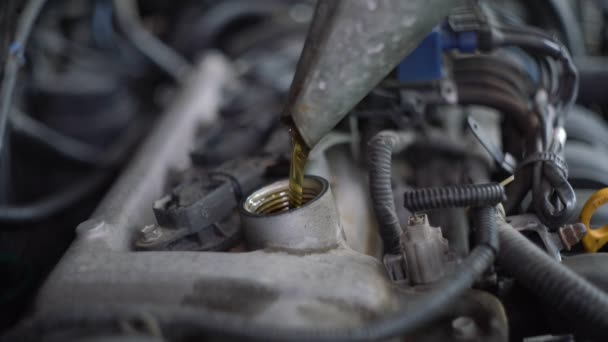 Inspektion Des Motors Und Überprüfung Des Motorölstandes Das Auto Überprüft — Stockvideo