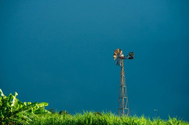 Mavi gökyüzünde şeker kamışı tarlaları ve açık bir günde Tayland 'da beyaz bulutlar.