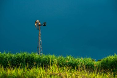 Mavi gökyüzünde şeker kamışı tarlaları ve açık bir günde Tayland 'da beyaz bulutlar.