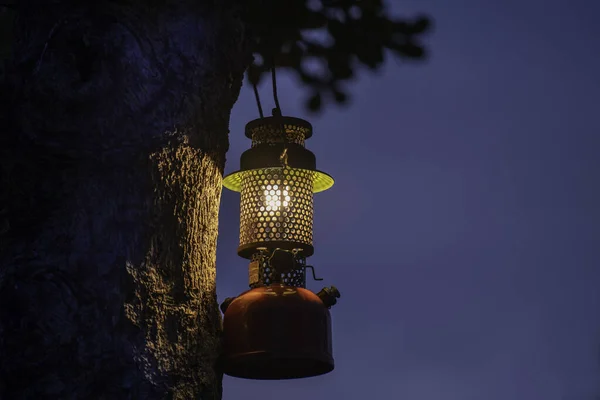 古色古香的油灯挂在树林里的一棵树上 夜晚野营的气氛 户外旅行的概念 — 图库照片