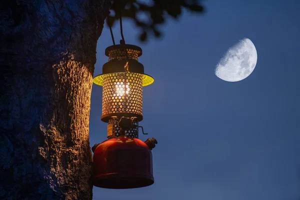 Akşamları ormanda bir ağaçta asılı duran eski model bir gaz lambası. Kamp atmosferinde dış mekânda dolaşmak. Görüntü görüntüsü Ay 'ın arka planı.