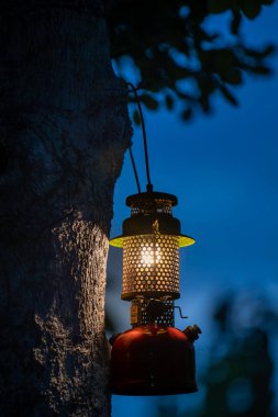 Akşamları ormanda ağaçta asılı duran klasik bir gaz lambası. Kamp atmosferi. Açık havada seyahat kavramı. 
