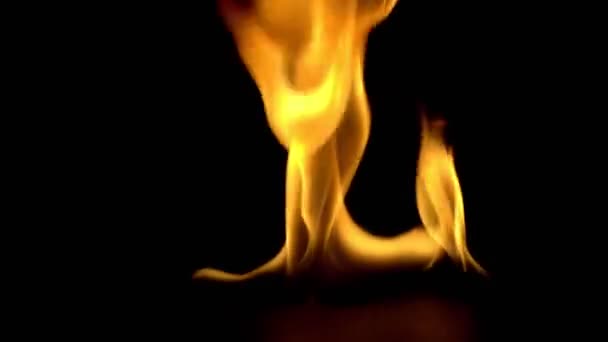 Brinnande Kraft Lågan Flammor Och Brinnande Gnistor Närbild Brand Mönster — Stockvideo