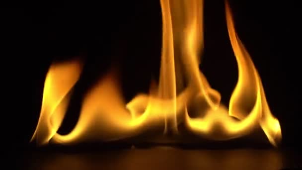 Brinnande Kraft Lågan Flammor Och Brinnande Gnistor Närbild Brand Mönster — Stockvideo