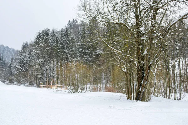 Neve Cobriu Montanhas Pinheiros Dia Neve Pesada Áustria — Fotografia de Stock