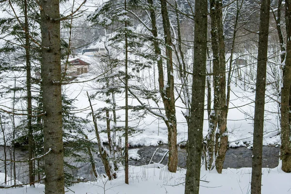 Neve Cobriu Montanhas Pinheiros Dia Neve Pesada Áustria — Fotografia de Stock