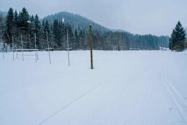 Snow covered mountains and pines on a heavy snow day in Austria