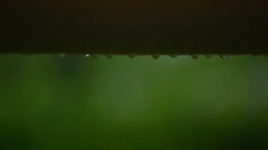 Water flows from the end of the bamboo barrel.