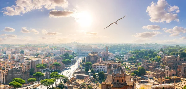 Un gabbiano vola vicino al Campidoglio, Foro, Colosseo, Roma, Italia — Foto Stock