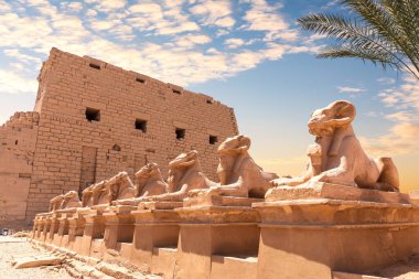 Karnak Tapınağı, insan başlı sfenkslerden oluşan bir bulvar, Luxor, Mısır
