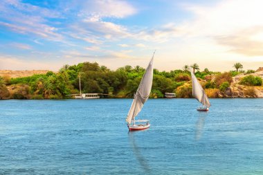 Feluccas ve Nil 'in yeşil kıyıları, Nubian köyü, Aswan, Mısır.