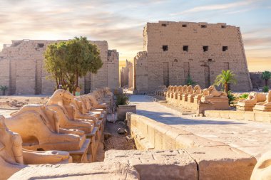 Kralın Şenlik Yolu veya Sfenks Bulvarı Karnak Tapınağı, Luxor, Mısır.