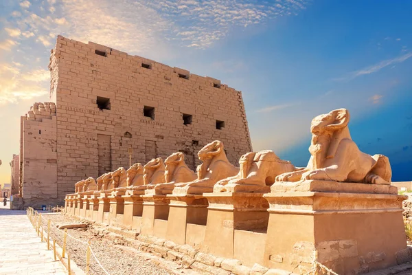 Avenue Kos Fejű Szfinxek Fal Karnak Temple Luxor Egyiptom — Stock Fotó