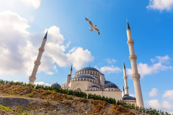 Istanbul Große Camlica Moschee Und Möwe Türkei — Stockfoto