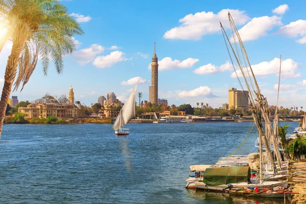 Sejlbåde Ved Molen Cairo Smuk Solrig Udsigt Dagen Egypten - Stock-foto