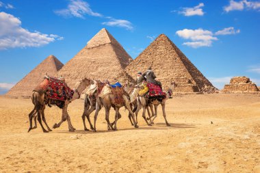 Mısır 'daki ünlü Giza Piramitlerinin önünde develer üzerinde bedeveler..