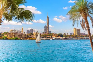 Kahire şehir merkezinde Nil, Mısır, Afrika 'da palmiyelerin ve yelkenlilerin arkasında