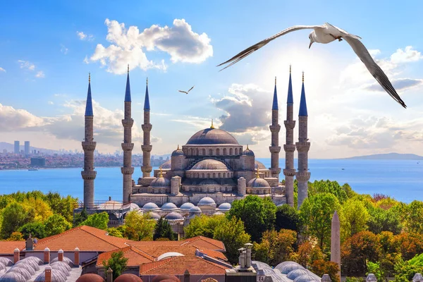 Голубой огонек в Золотом Роге или султан Ахмет Оке, Стамбул, Турция — стоковое фото
