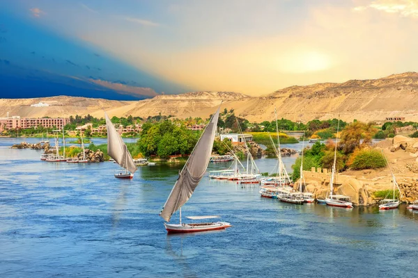 Mısır 'ın Aswan kentindeki Nil tepelerinin önündeki yelkenliler — Stok fotoğraf