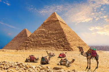  Chephren, Cheops, Mısır ve Giza Piramidinin yanındaki çölde dinlenen bir kervan..