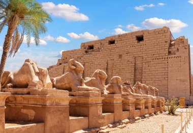 Kralın Şenlik Yolu veya Sfenks Bulvarı Karnak Tapınağı, Luxor, Mısır.