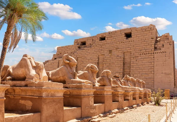 King Festivities Road Avenue Sphinxes Ram Headed Statues Karnak Temple — стоковое фото