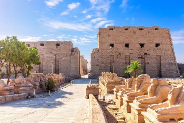 Karnak Tapınağı girişi ve Kralın Şenlik Yolu veya Sfenks Bulvarı, Lüksör, Mısır.