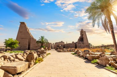 Karnak Tapınağı 'nın kalıntıları palmiye ağacının arkasında, Luxor, Mısır.
