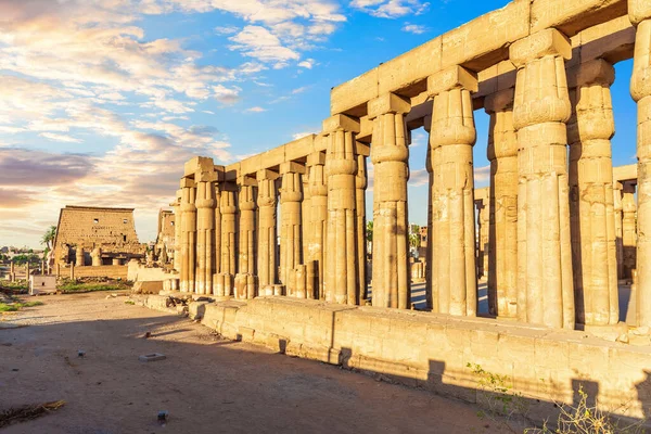 Słynne Kolumny Świątyni Luxor Widok Tyłu Filary Egipt — Zdjęcie stockowe
