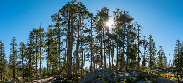 Pasifik Tepesi Yolu Kuzey Kaliforniya 'daki Sierra Nevada dağlarından geçiyor..