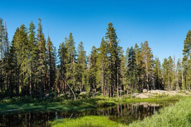 Kuzey Kaliforniya 'nın Sierra Nevada dağlarında Donner Zirvesi' ne yakın dağ gölü.